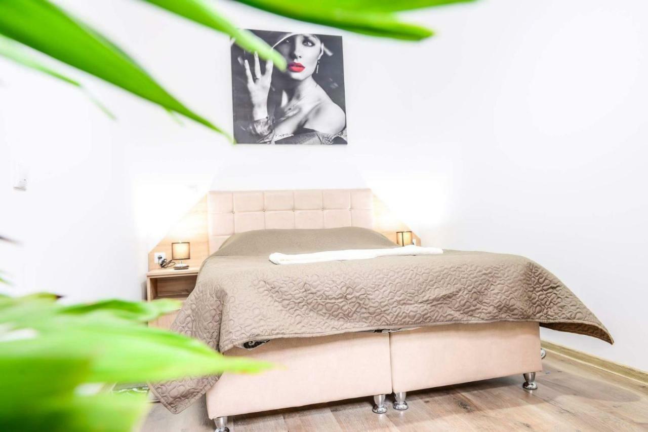 Apartment Casa Friedrich Czell ブラショフ エクステリア 写真